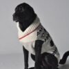 Jackson Dog Sweater 19-05-09 D1-296 CD Sweaters