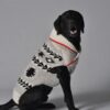 Jackson Dog Sweater 19-05-09 D1-305 CD Sweaters