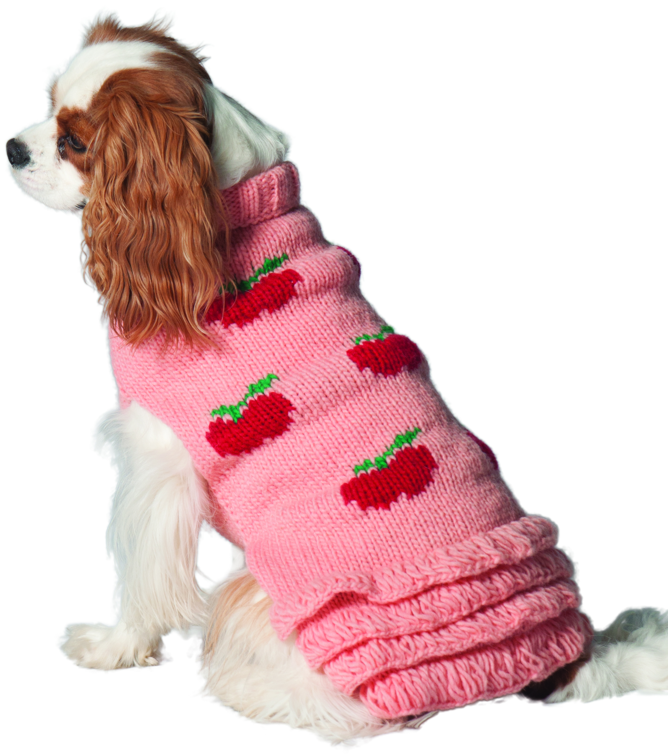 female dog sweaters