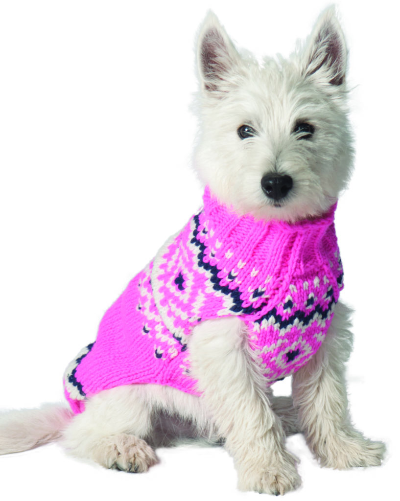 Dog pink sweater Outlet