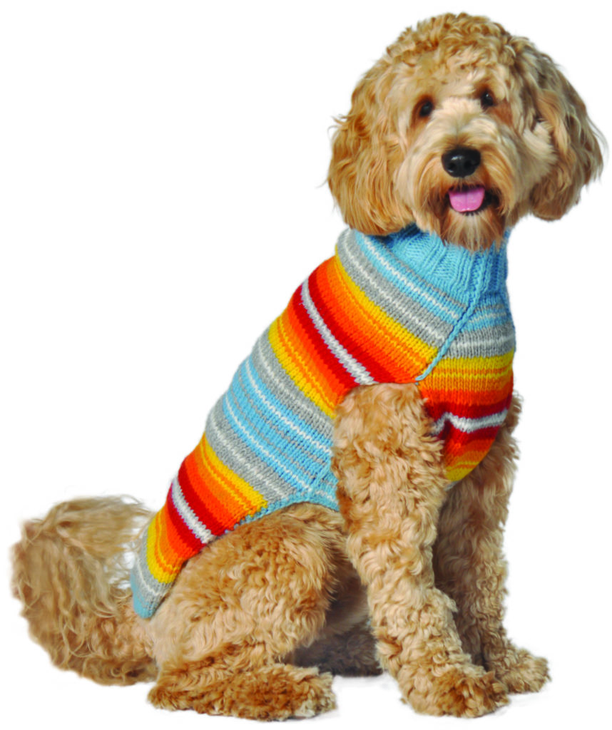 dog sweaters for goldendoodles