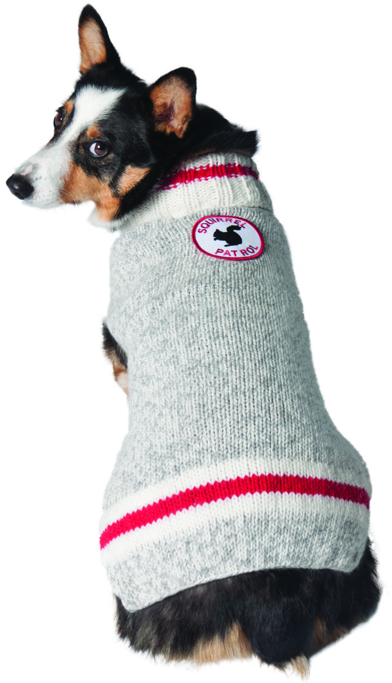 Squirrel Patrol Dog Sweater Chilly Dog