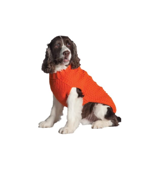 orange cable knit wool dog sweater