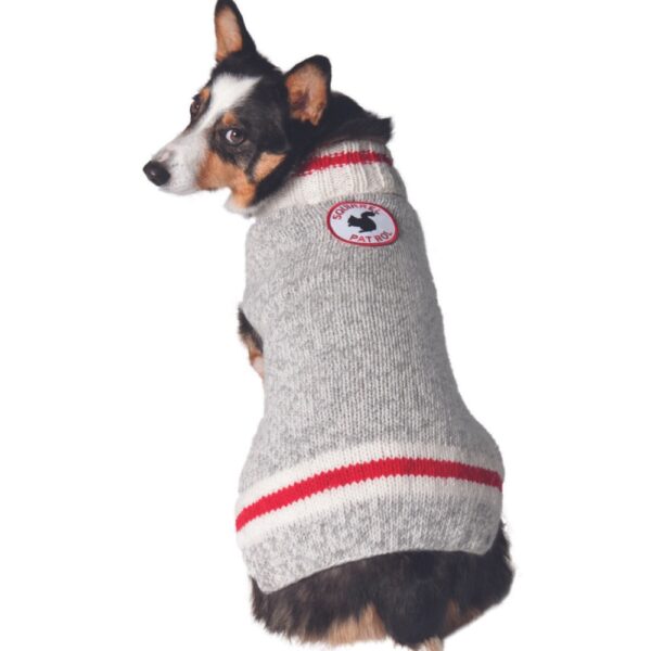 Squirrel Patrol dog sweater