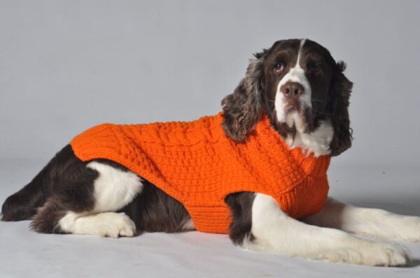 Orange Cable Knit Wool Dog Sweater 19-05-09 D1-235 CD Sweaters