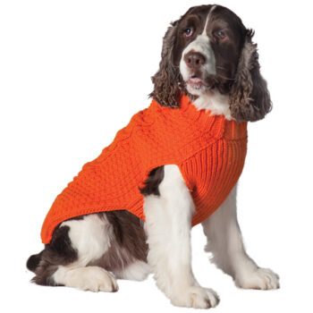 orange cable knit wool dog sweater