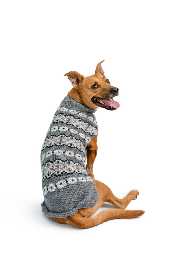 Alpaca Silver Fair Isle Dog Sweater Lg