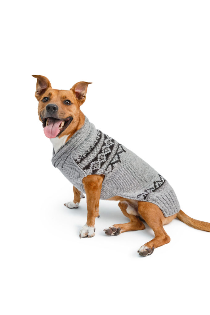 Alpaca Smokey Wyatt Dog Sweater Lg