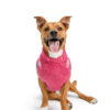 Alpaca Rose Fairisle Dog Sweater Lg