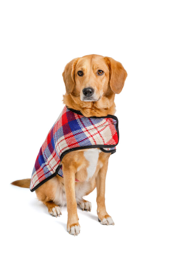 Red Field Dog Blanket Coat Lg