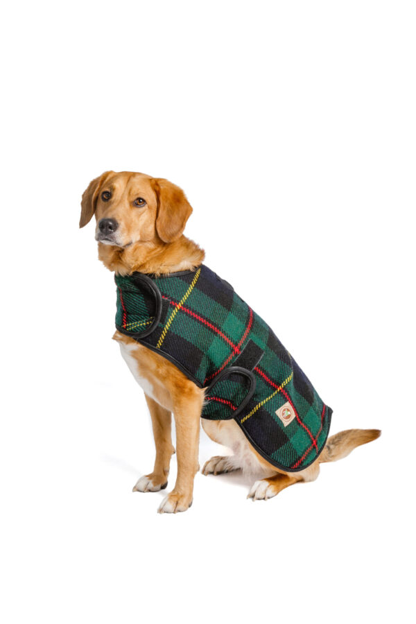 Navy Tartan Plaid Blanket Dog Coat Lg