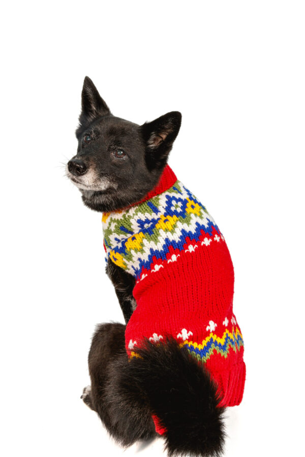 Holiday Fair Isle Wool Dog Sweater