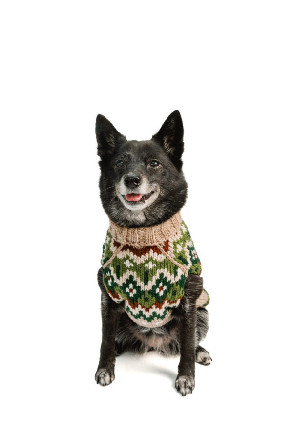 Ragg Wool Fairisle Dog Sweater