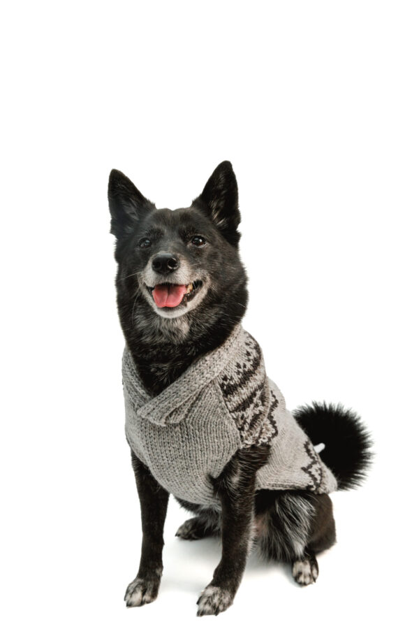 Alpaca Smokey Wyatt Dog Sweater M