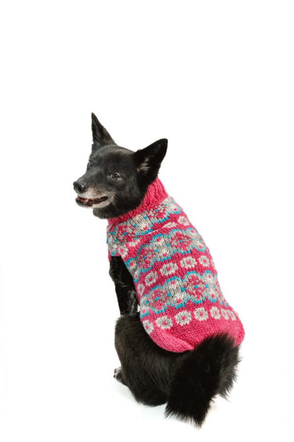 Alpaca Rose Fairisle Dog Sweater M