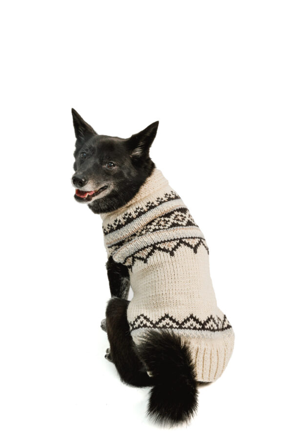 Alpaca Cream Wyatt Dog Sweater M