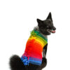 Rainbow Mohawk Dog Sweater M back