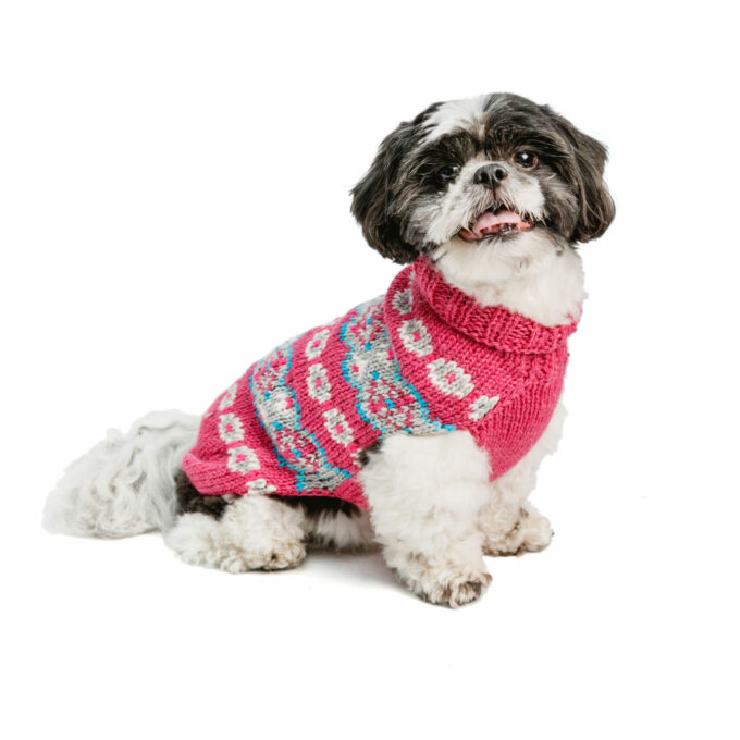 Alpaca Rose Fairisle Dog Sweater Sm