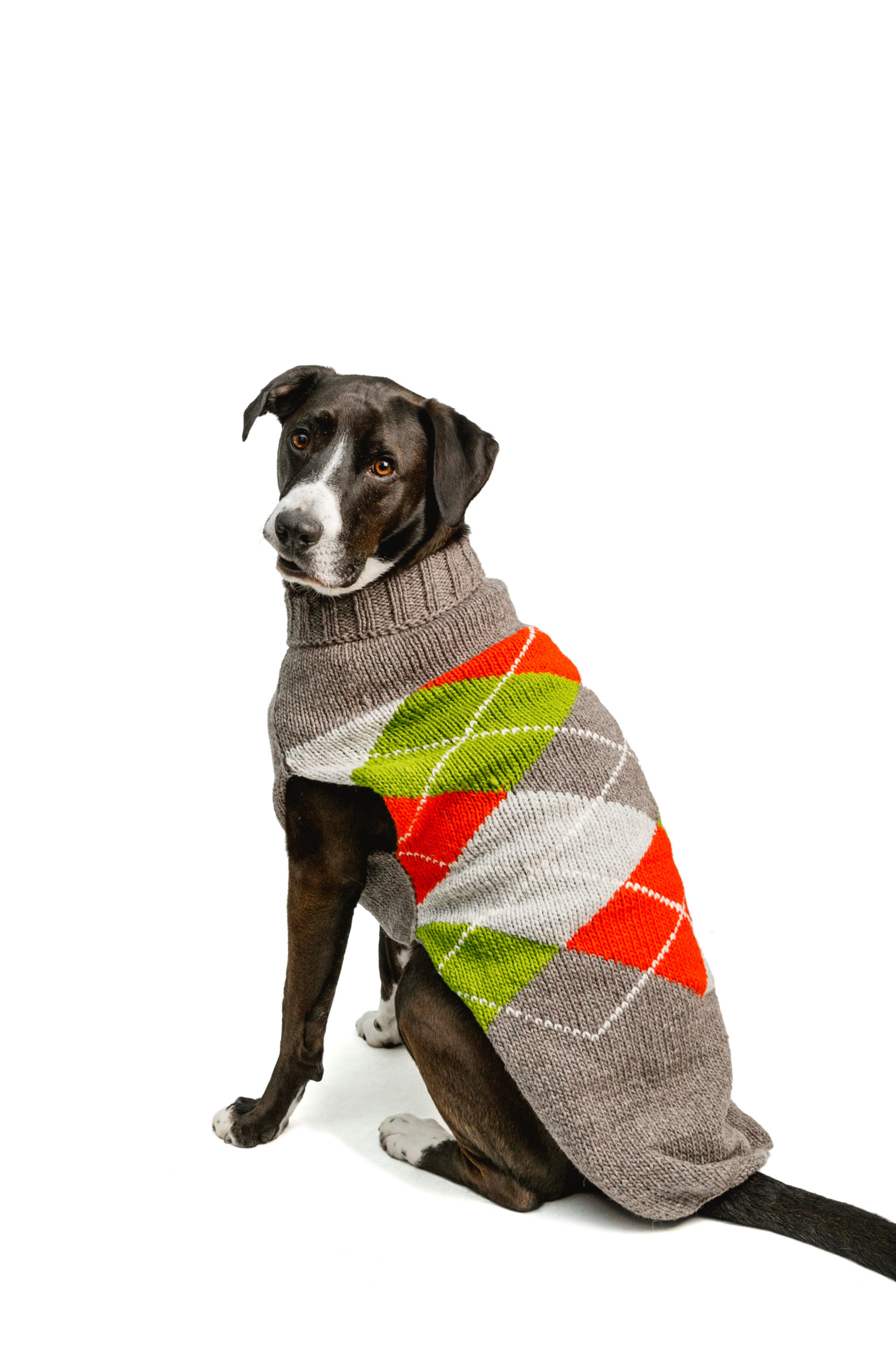 female dog sweaters