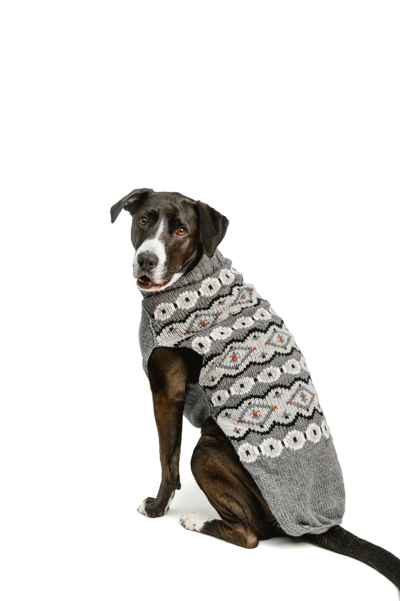 Sweaters Archives Chilly Dog Sweaters