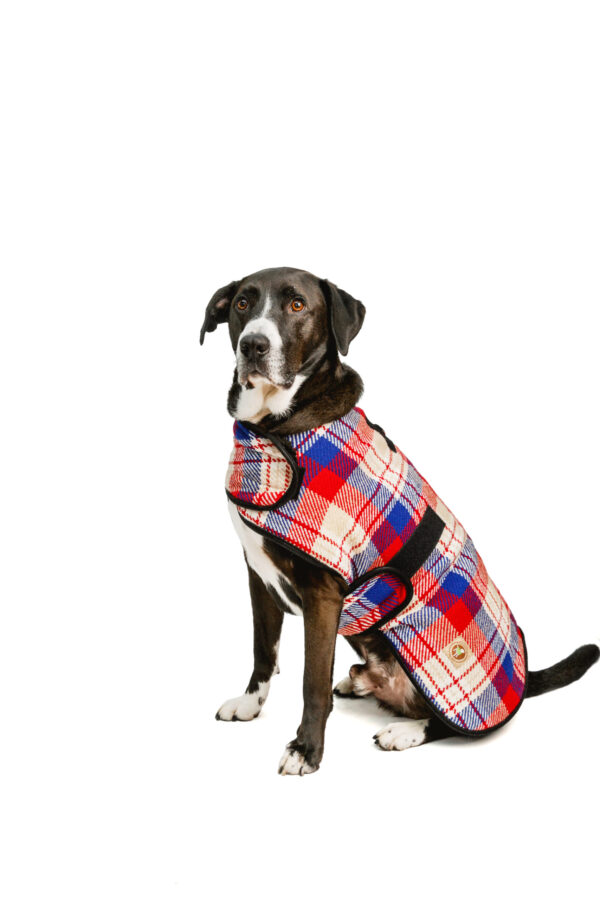 Red Field Dog Blanket Coat XXL