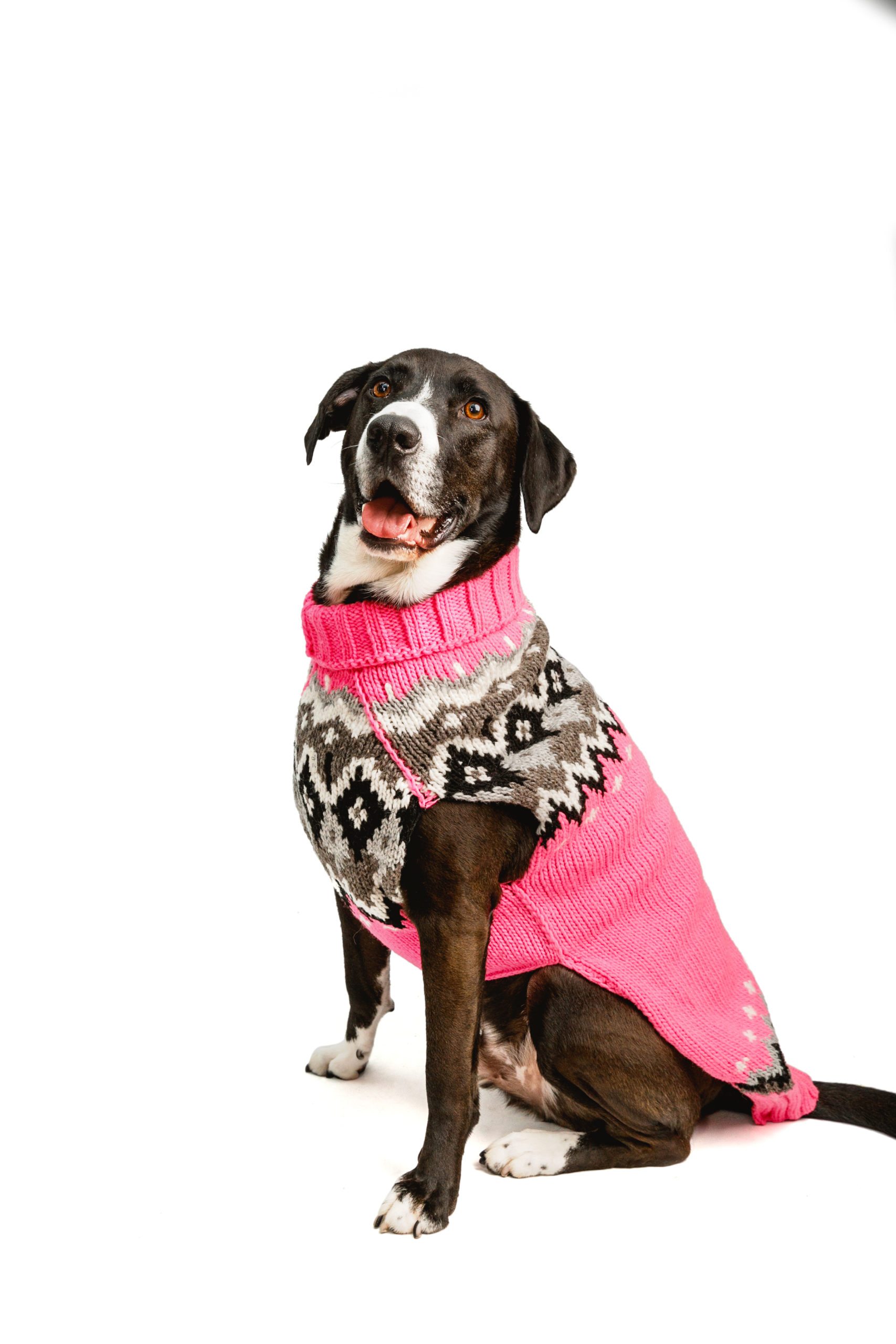 XX-Small Chilly Dog Purple Woodstock Dog Sweater