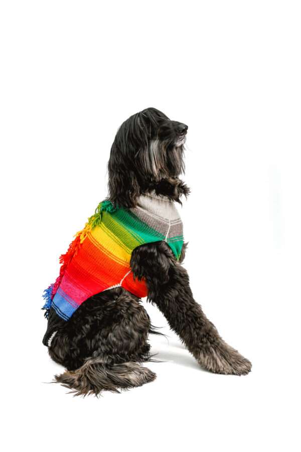 Rainbow Mohawk Dog Sweater XXL full