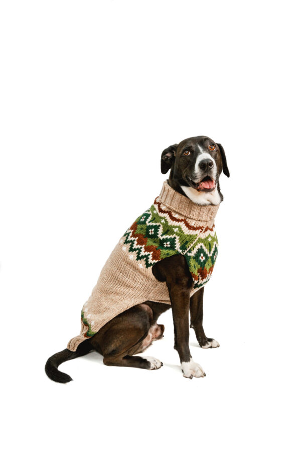 Ragg Wool Fair Isle Dog Sweater