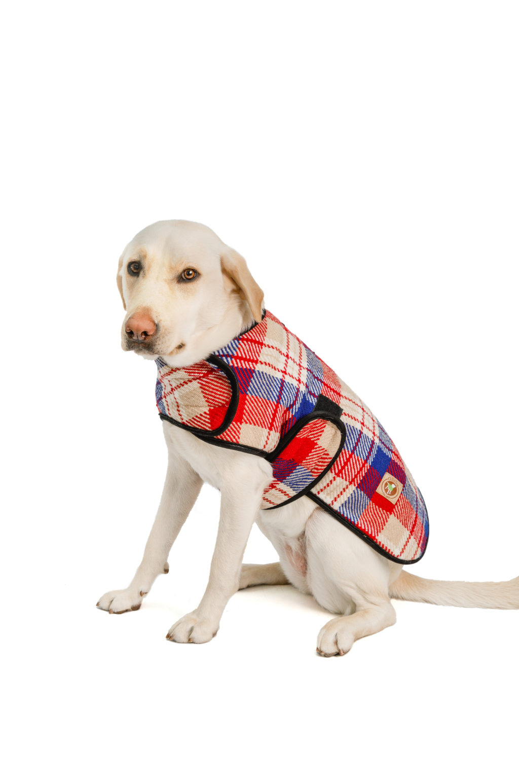 Coats Archives Chilly Dog Sweaters