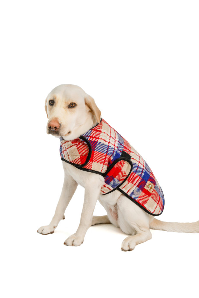 Coats Archives Chilly Dog Sweaters