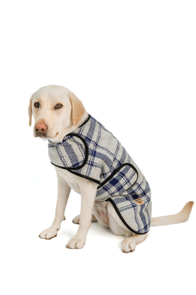 Coats Archives Chilly Dog Sweaters