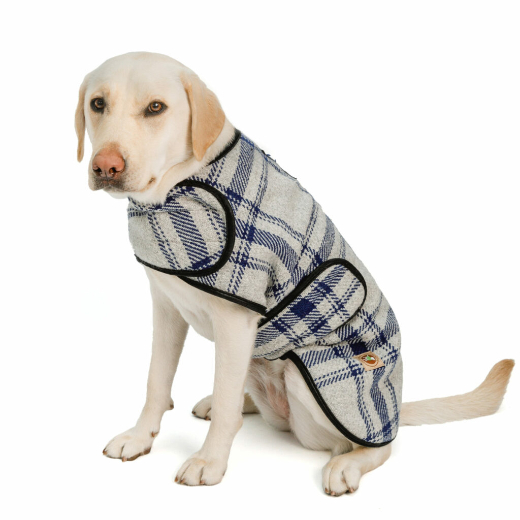 Gray and Blue Plaid Dog Blanket Coat — Chilly Dog