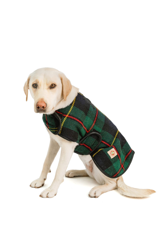 Coats Archives Chilly Dog Sweaters