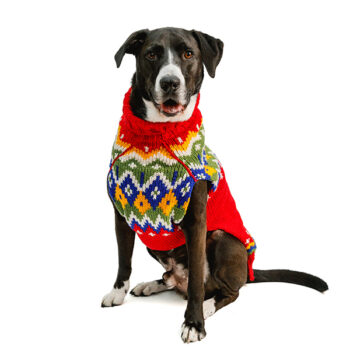 red-jelly-bean-holiday-dog-sweaters_XXL-600x600