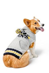 dog sweaters with hoods