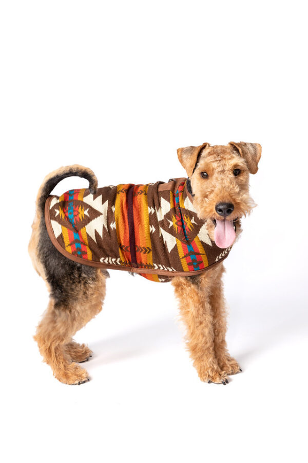 Brown Southwest Blanket Dog Coat L full
