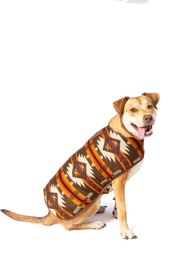 Brown Southwest Blanket Dog Coat XXL full
