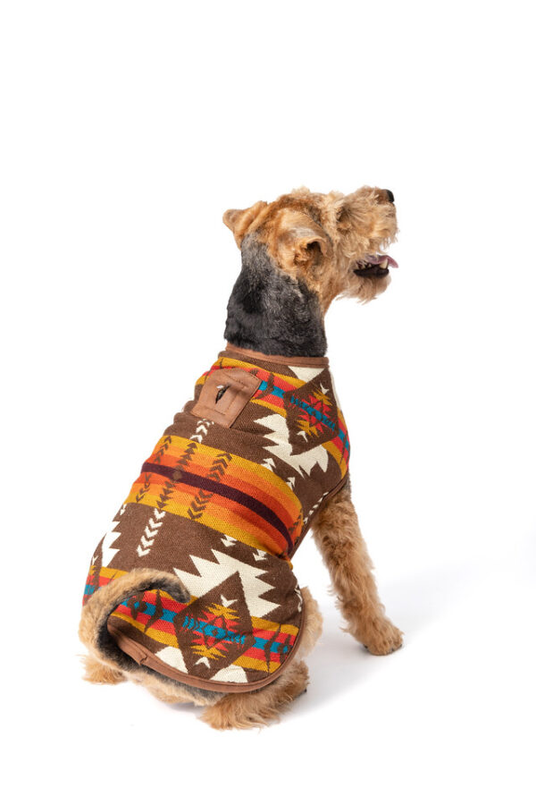 Brown Southwest Blanket Dog Coat back