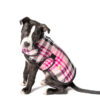 Pink Plaid Blanket Dog Coat Sm full
