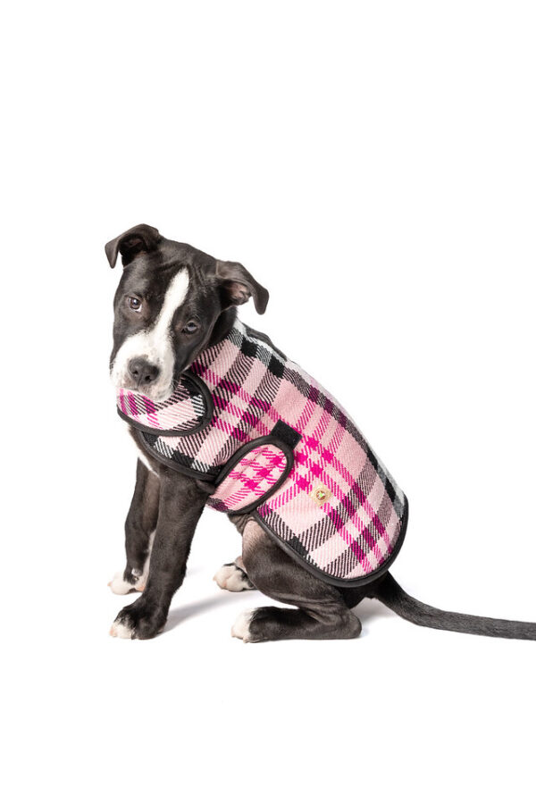 Pink Plaid Blanket Dog Coat Sm full
