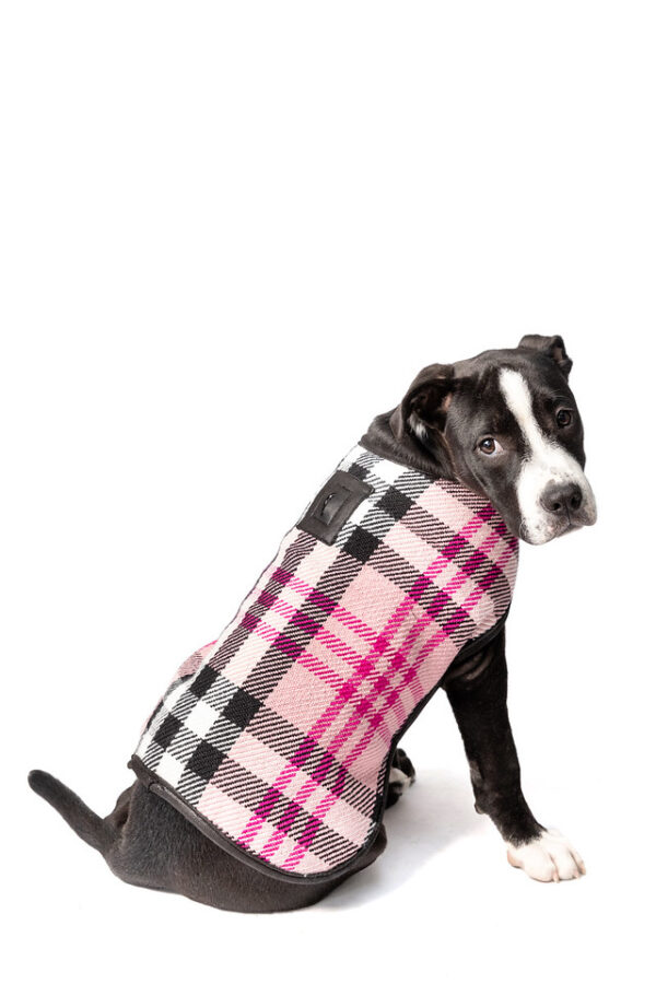 Pink Plaid Blanket Dog Coat Sm back