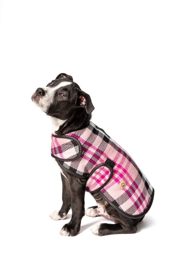 Pink Plaid Blanket Dog Coat Sm full