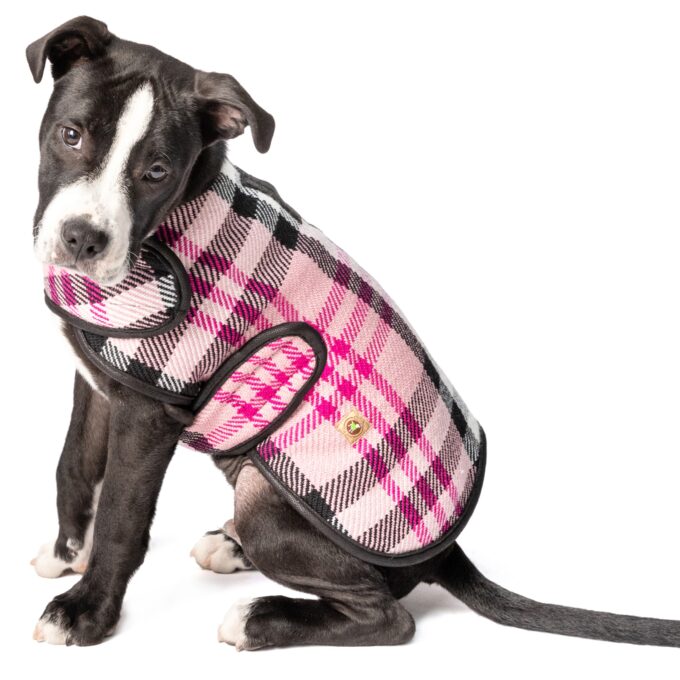 Pink Plaid Blanket Dog Coat Sm full