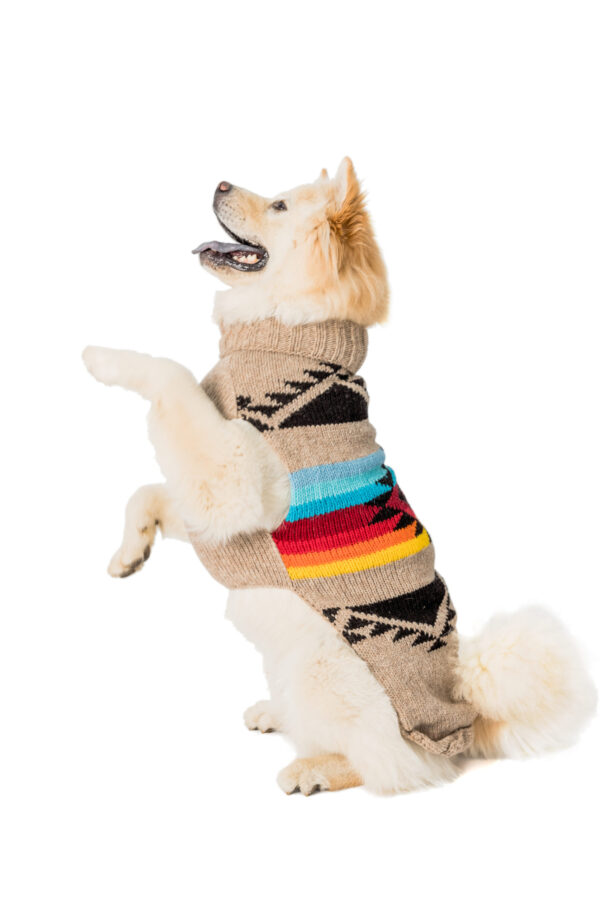 Painted desert dog sweater XL