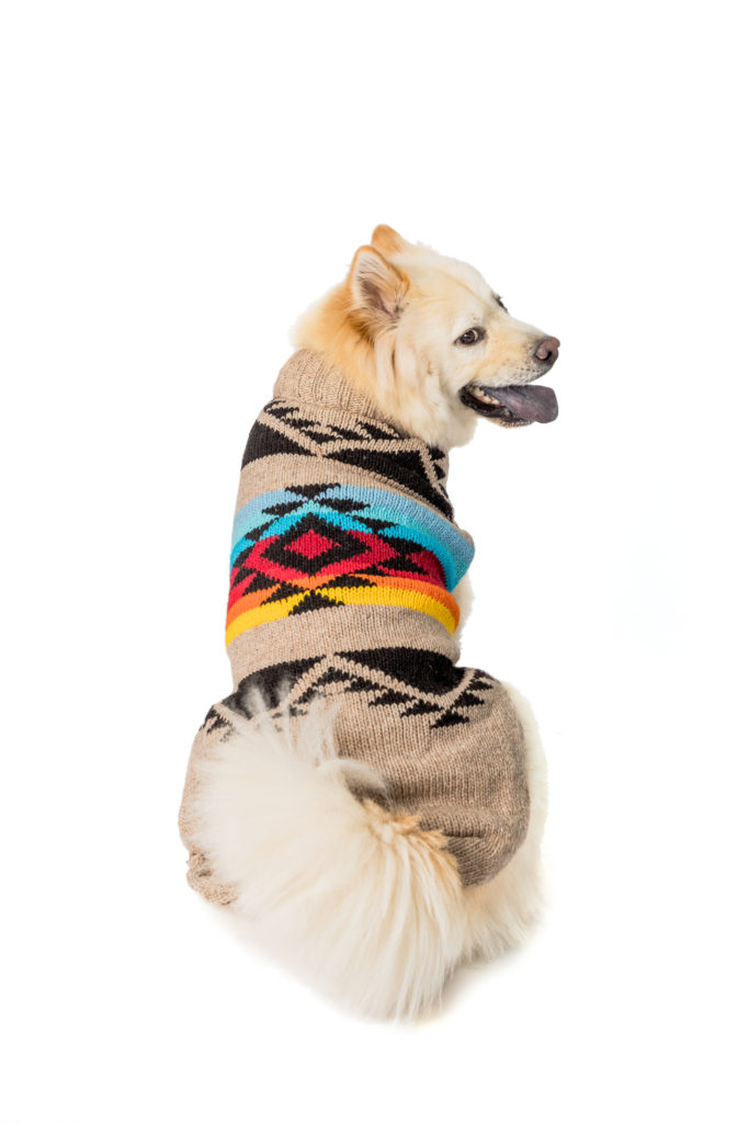 Southwest Archives Chilly Dog Sweaters