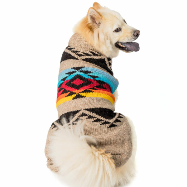 Painted desert dog sweater XL back