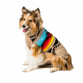Painted desert dog sweater
