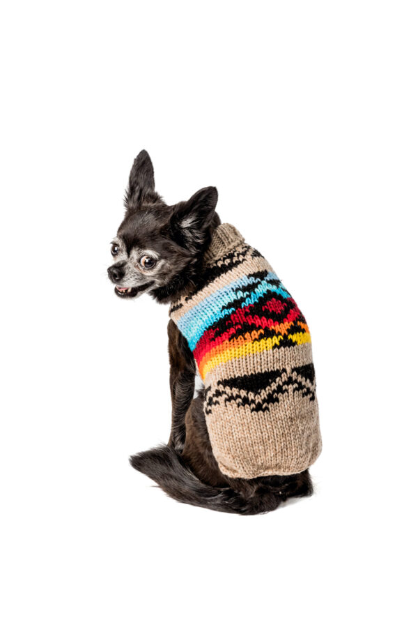 Painted desert dog sweater back