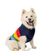 Alpaca Good Vibes Dog Sweater front