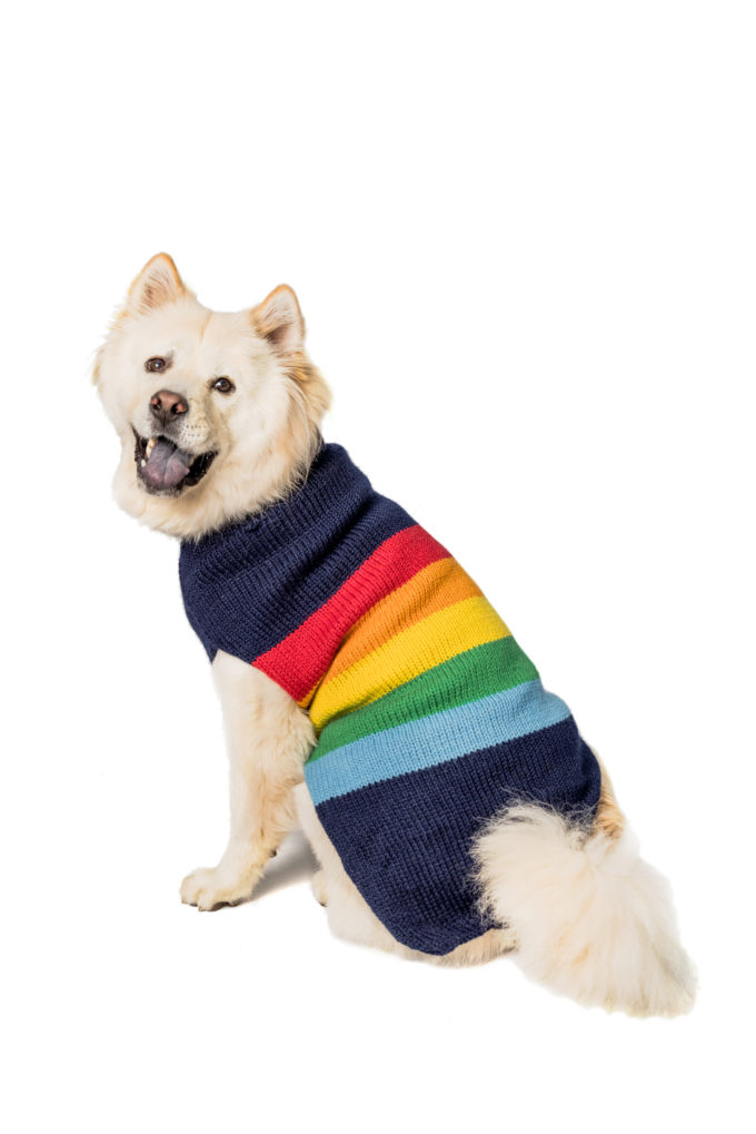 Sweaters Archives Chilly Dog Sweaters
